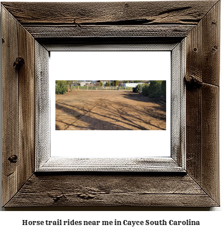 horse trail rides near me in Cayce, South Carolina